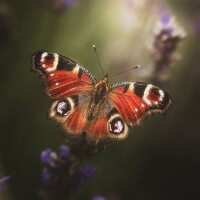 Lesen LED Bilder Bewertungen